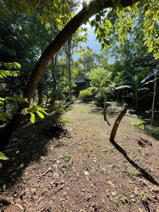 Magica Cabana En Medio Del Bosque En Isla Venado Villa Lepanto Dış mekan fotoğraf