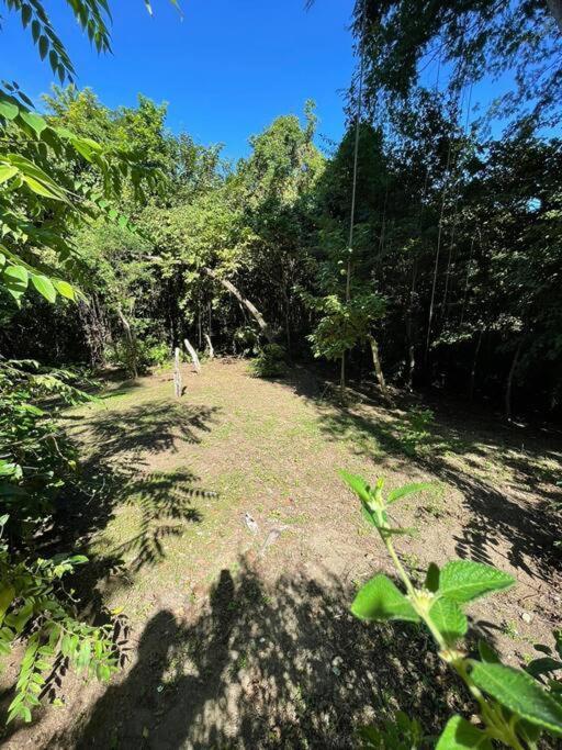 Magica Cabana En Medio Del Bosque En Isla Venado Villa Lepanto Dış mekan fotoğraf