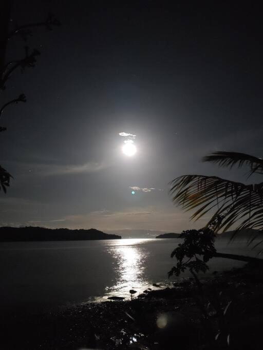 Magica Cabana En Medio Del Bosque En Isla Venado Villa Lepanto Dış mekan fotoğraf