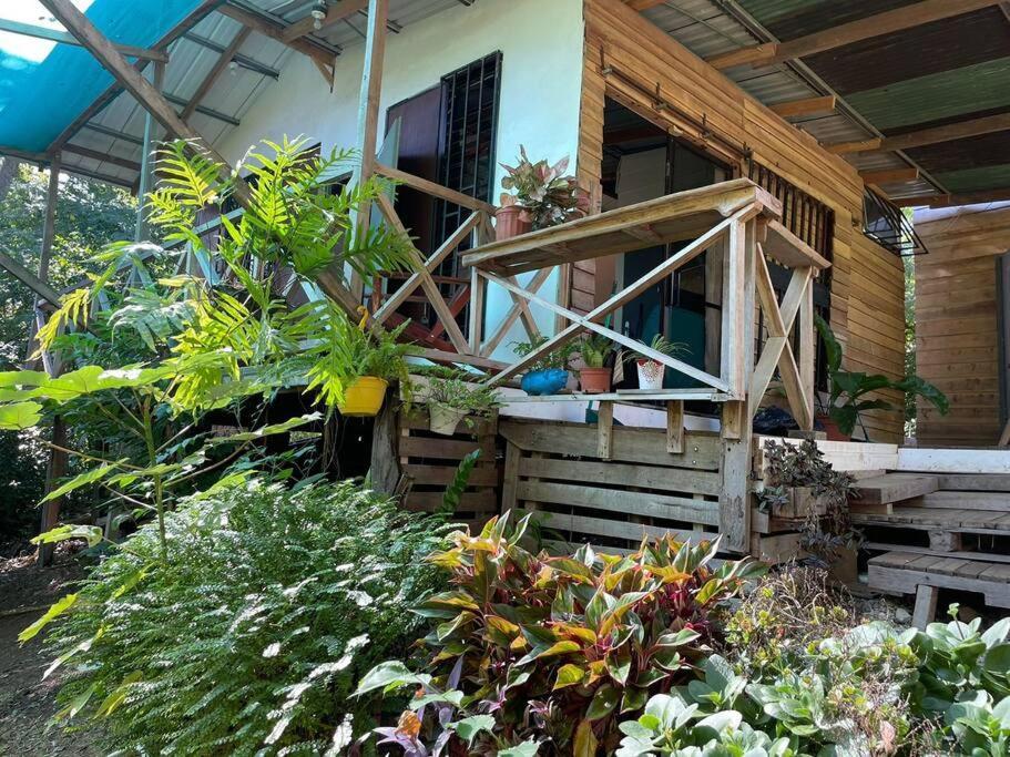 Magica Cabana En Medio Del Bosque En Isla Venado Villa Lepanto Dış mekan fotoğraf